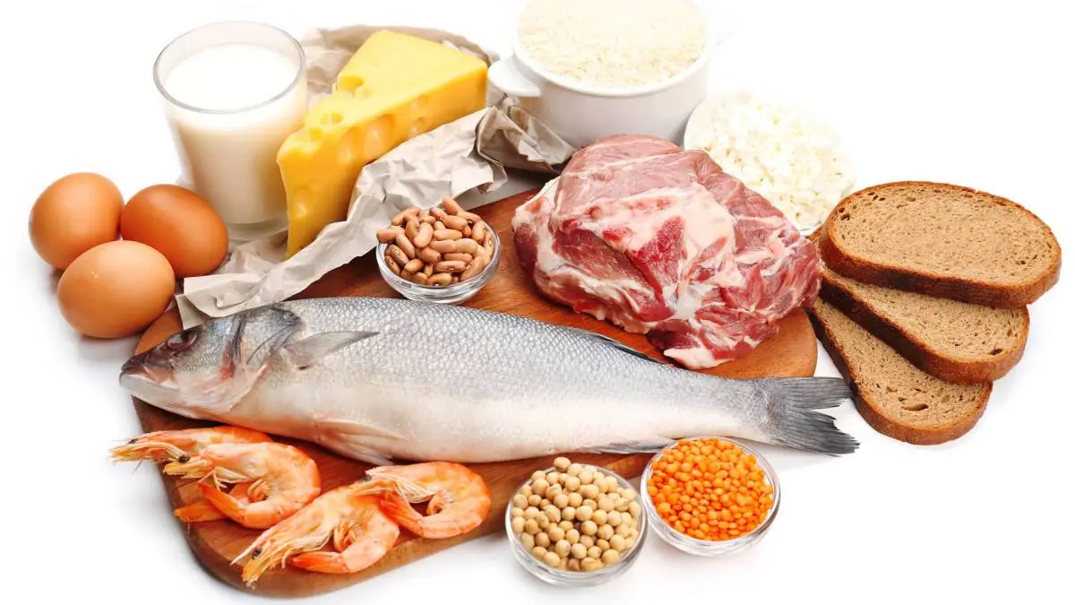 Proteinas